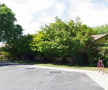 Greenhouse Parking Lot