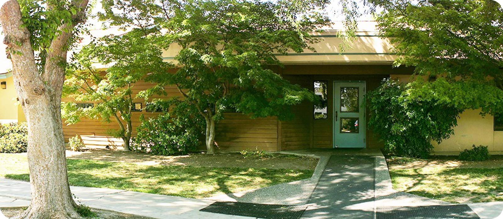 Front entrance of Greenhouse Montessori School in Visalia, California, featuring a concrete walkway leading to a light blue door surrounded by lush green trees and landscaped grounds.