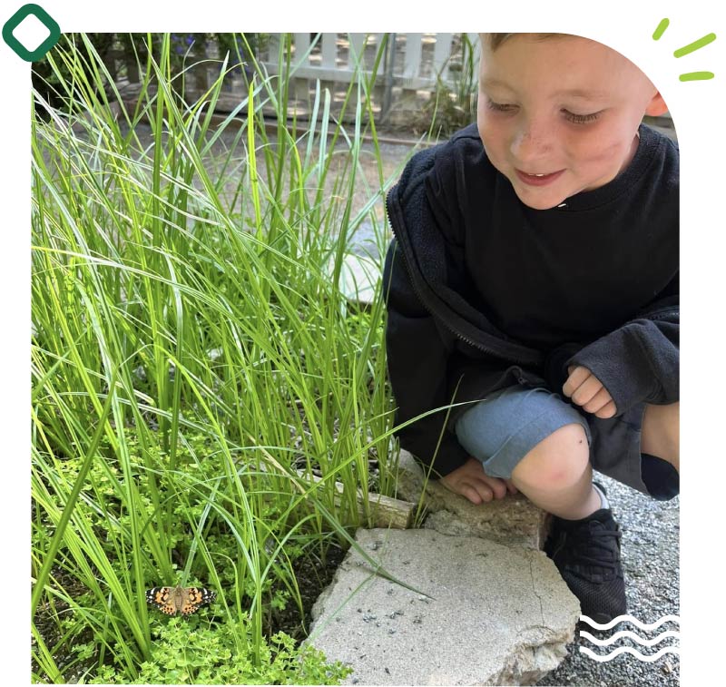 A young boy curiously observing a butterfly resting on greenery in an outdoor nature setting.