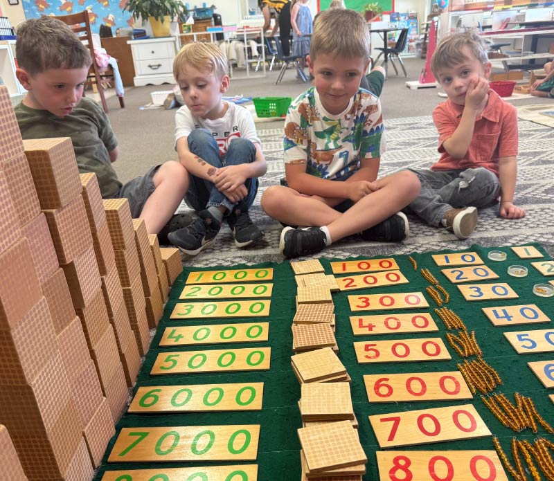 A group of young students sitting on the floor in a classroom, engaged in a hands-on Montessori math activity using number tiles and wooden trays.