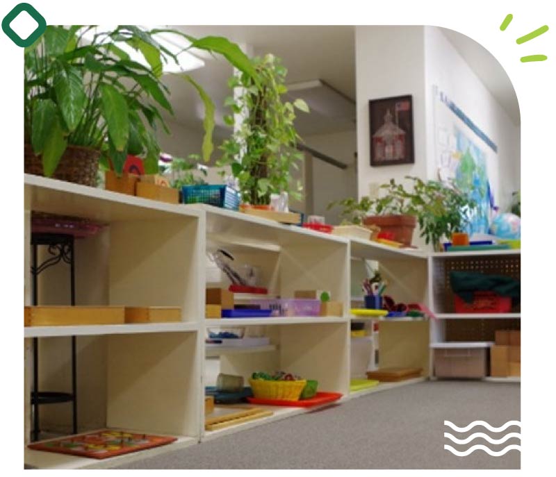An organized interior view of a classroom at Greenhouse Montessori School in Visalia, showcasing low white shelving units filled with structured learning materials, wooden trays, and vibrant indoor potted plants on a carpeted floor.